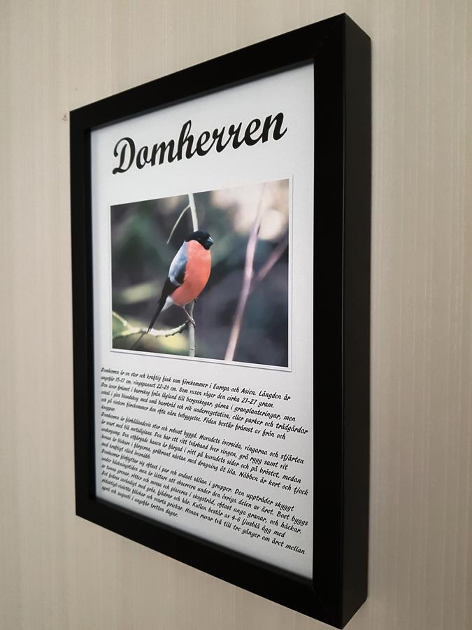 Takern Vandrarhem Svanshals Екстер'єр фото
