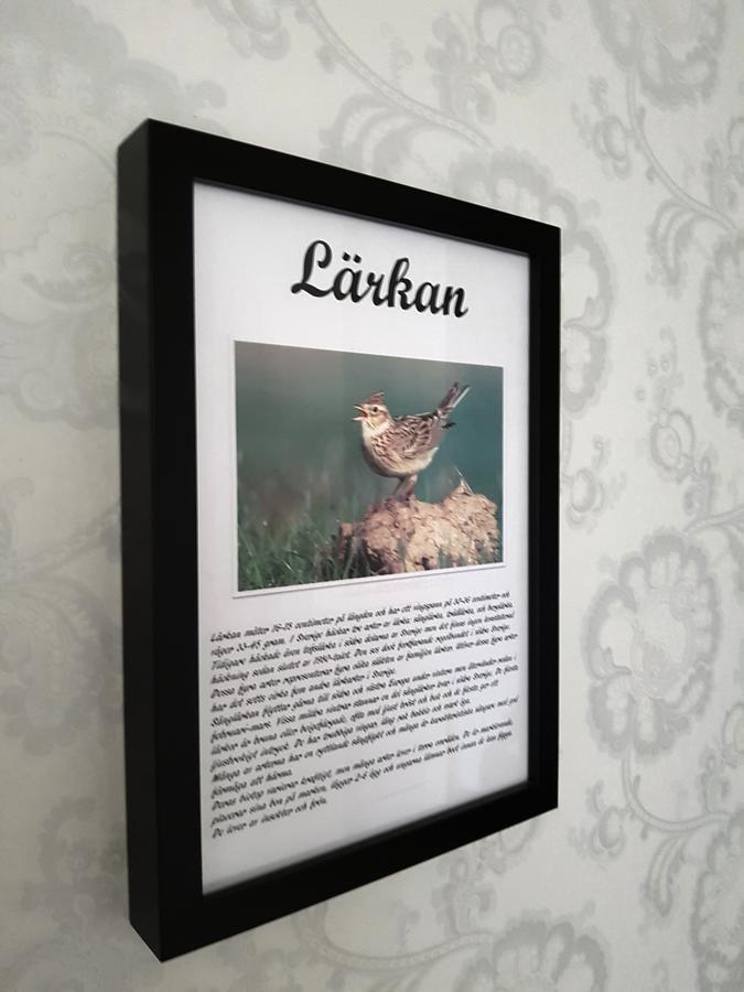 Takern Vandrarhem Svanshals Екстер'єр фото