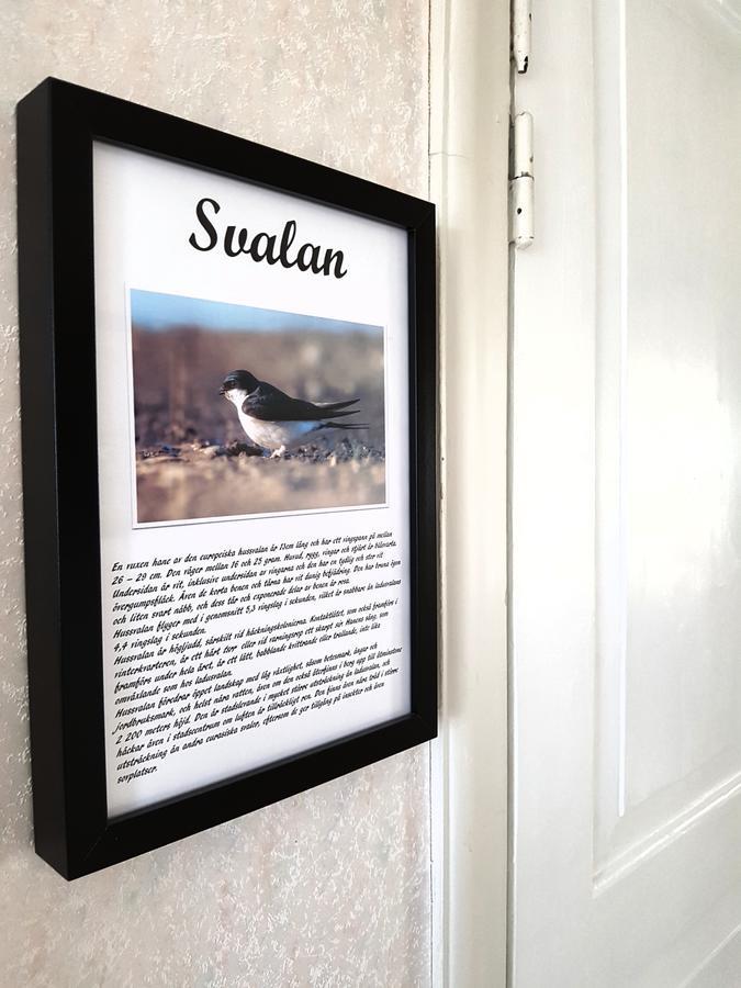 Takern Vandrarhem Svanshals Екстер'єр фото